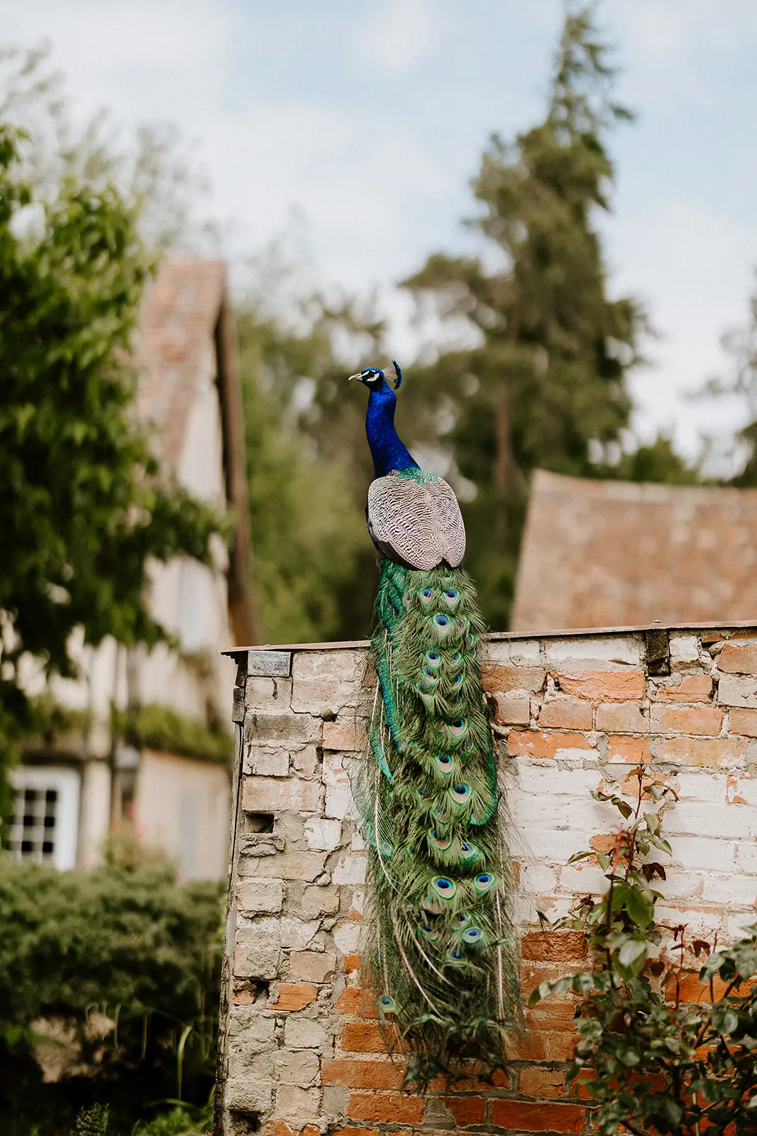 bassmead manor barns bernard